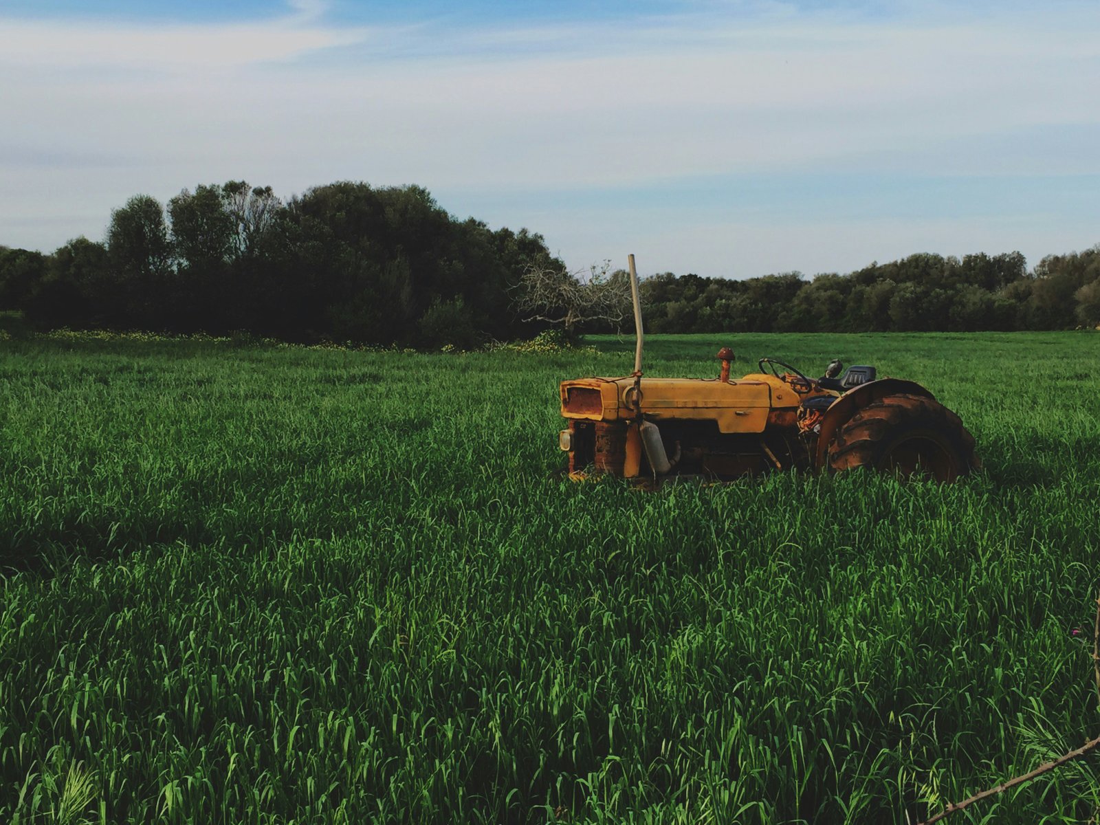 Tractor Image